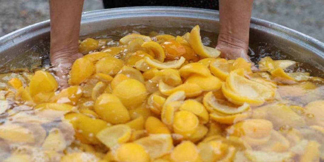 Tarlada 5 TL’ye satılıyor kimse yemiyor! Kadınların elinde dönüşüp değer kazanıyor: Kilosu 300 TL’den damlası bile kalmıyor 1